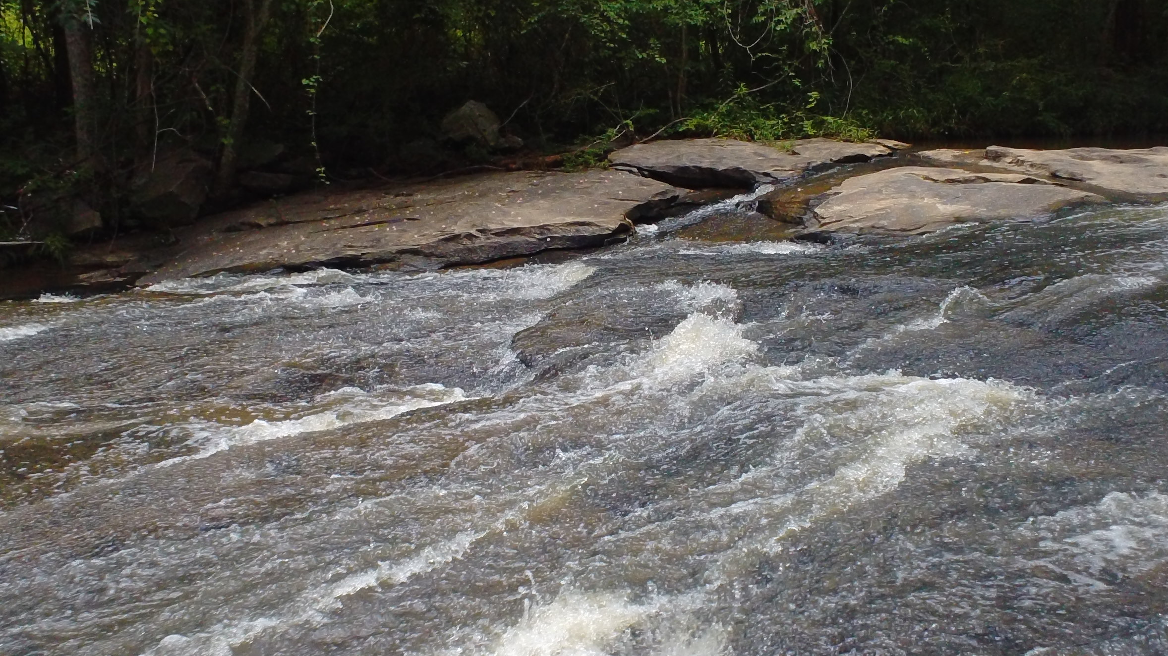Arabia Mountain water